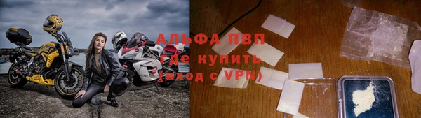 прущие крисы Аркадак