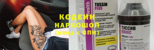 прущие грибы Армянск