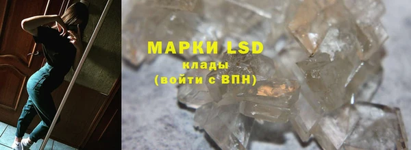 прущие грибы Армянск