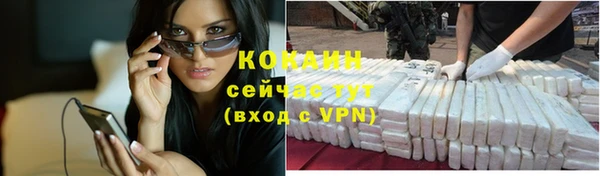 прущие грибы Армянск