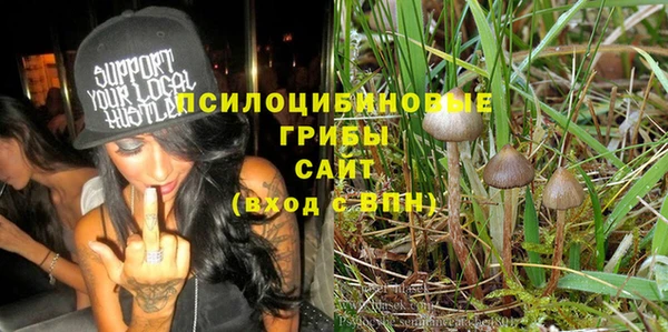 прущие грибы Армянск