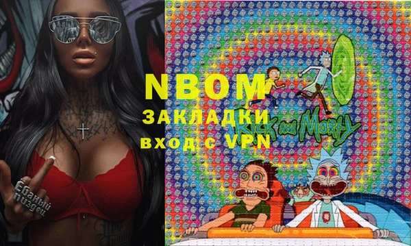 прущие грибы Армянск