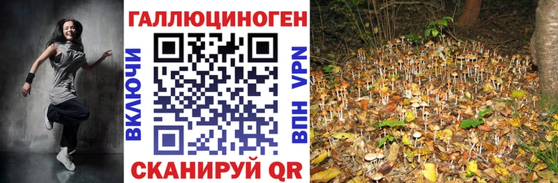 мориарти телеграм  купить закладку  Ступино  Галлюциногенные грибы MAGIC MUSHROOMS 
