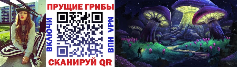 Галлюциногенные грибы GOLDEN TEACHER Ступино