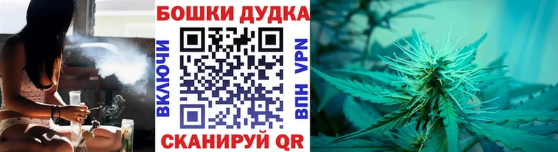 Конопля план  закладка  Ступино 